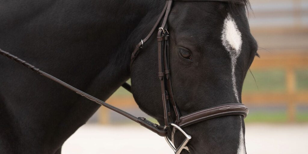 Cyprus-Bridle-1024x1024.jpg