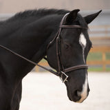 Black Oak Cyprus Bridle