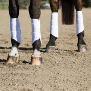 Close-up view of a horse's legs that is wearing the White Professional's Choice Pro Performance XC G1 Rear Boots while standing on the dirt outside