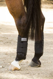 Close-up view of a horse's back legs that is wearing the Black Professional's Choice Pro Performance XC G1 Rear Boots while standing on the dirt outside
