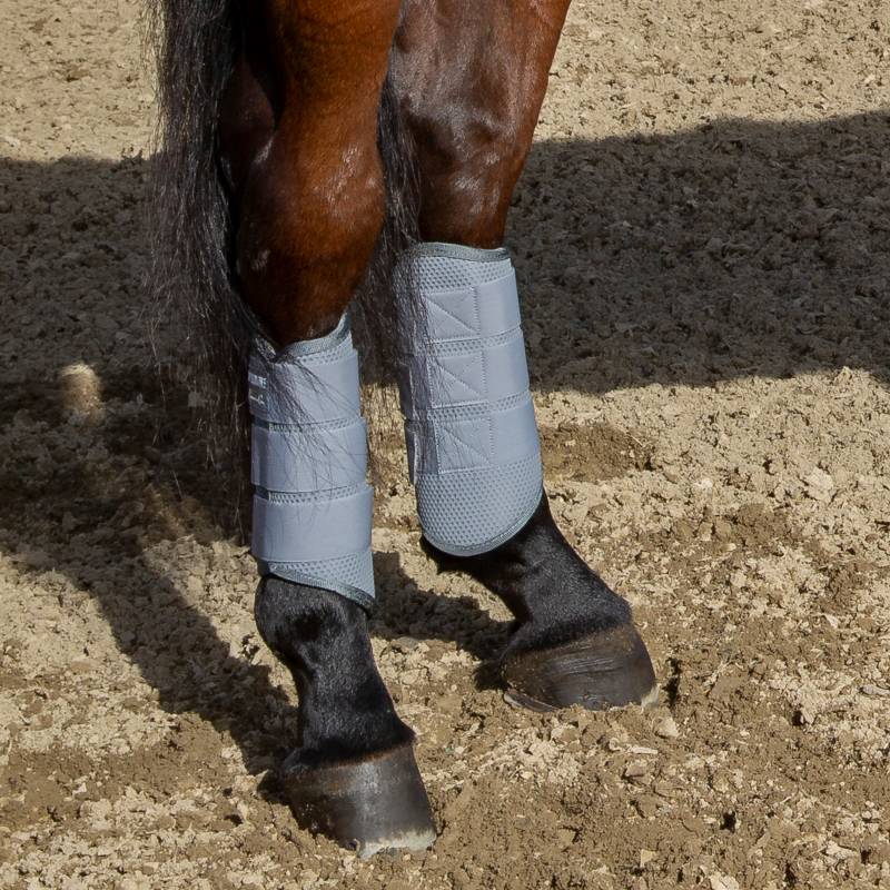 Close-up view of a bay horse wearing the Charcoal Professional's Choice Pro Performance XC Rear Boots while standing in the dirt