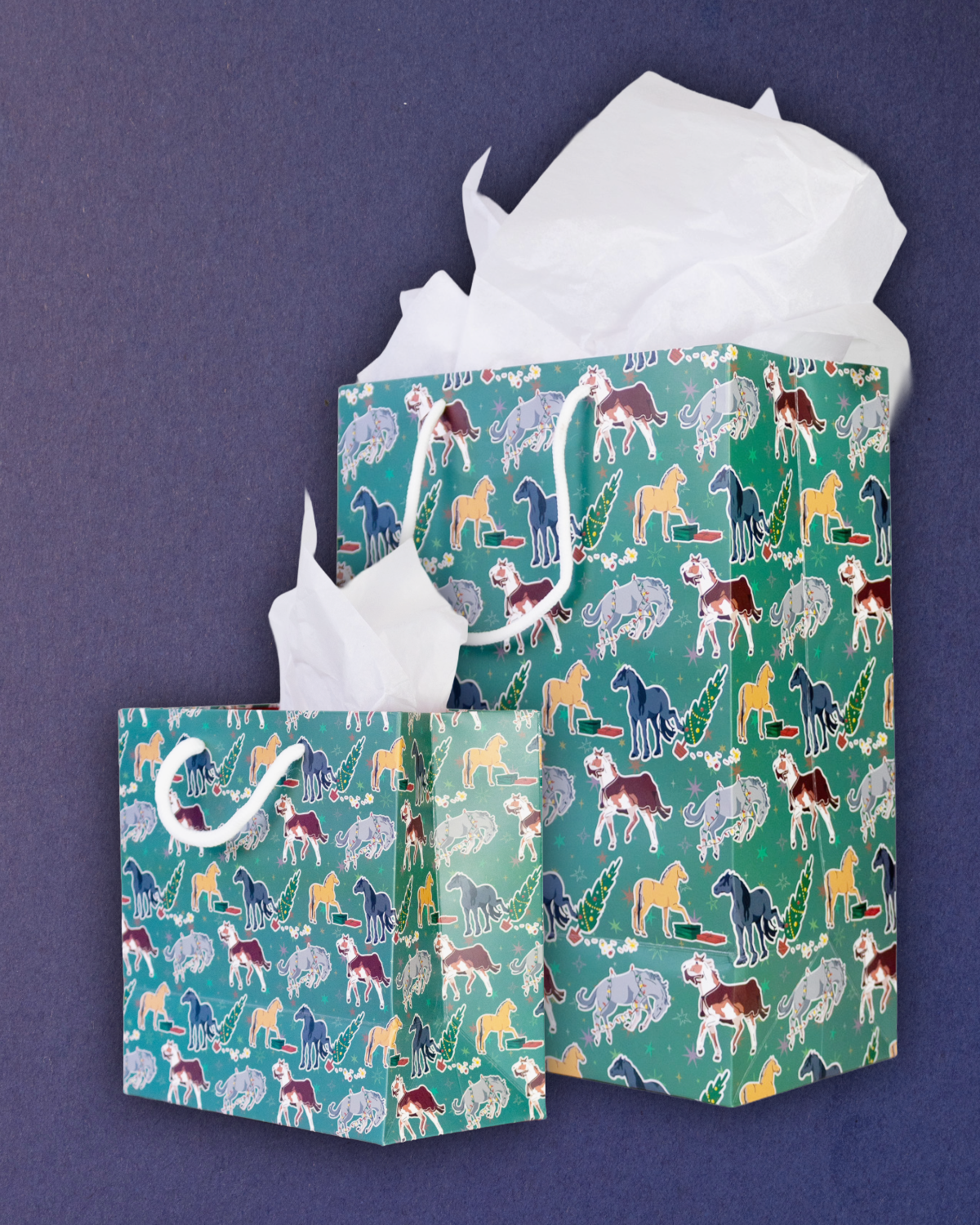 Dreamers & Schemers Gift Bag