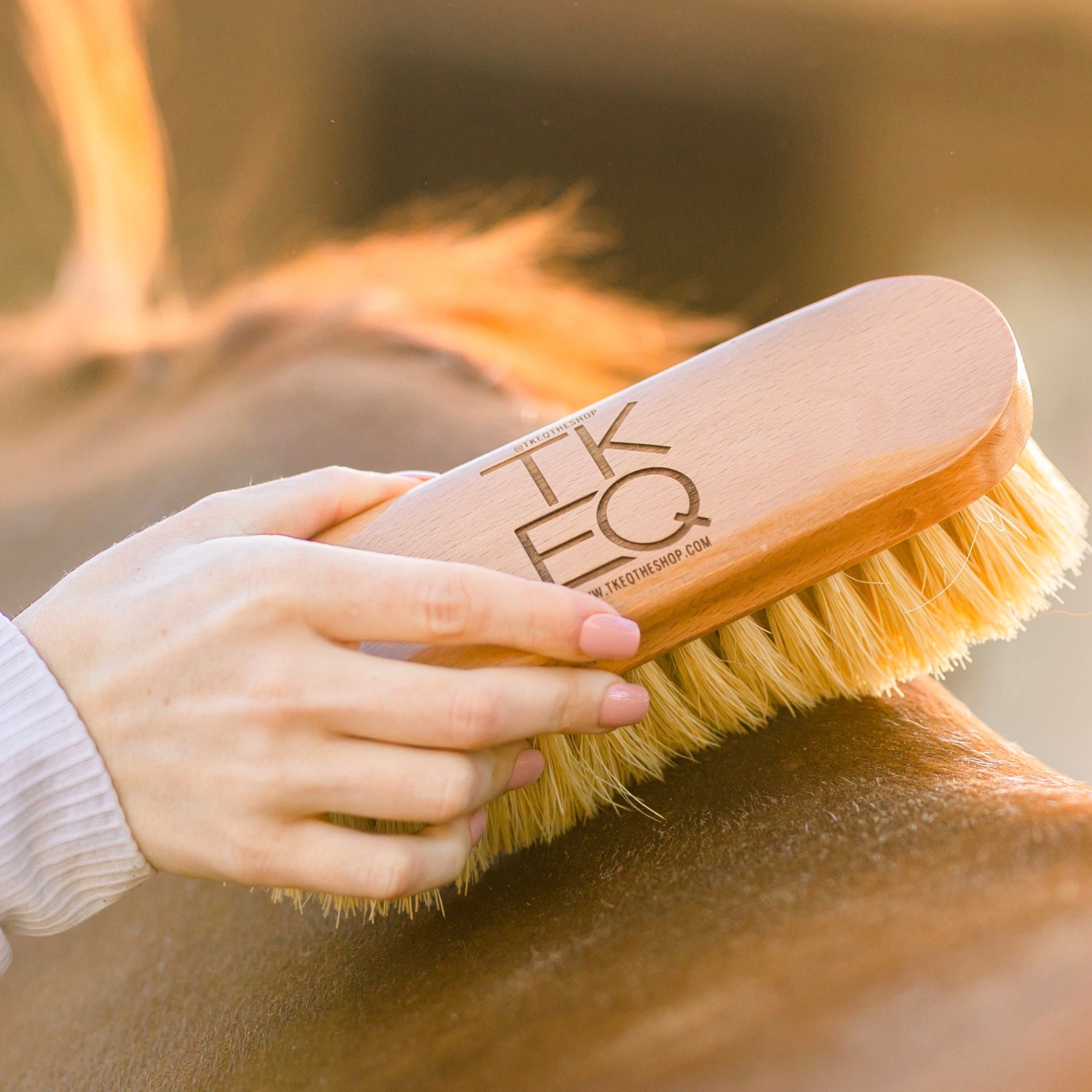 View of a female model brushing a horse with the TKEQ - TKEQ x SPR Natural Dandy Brush