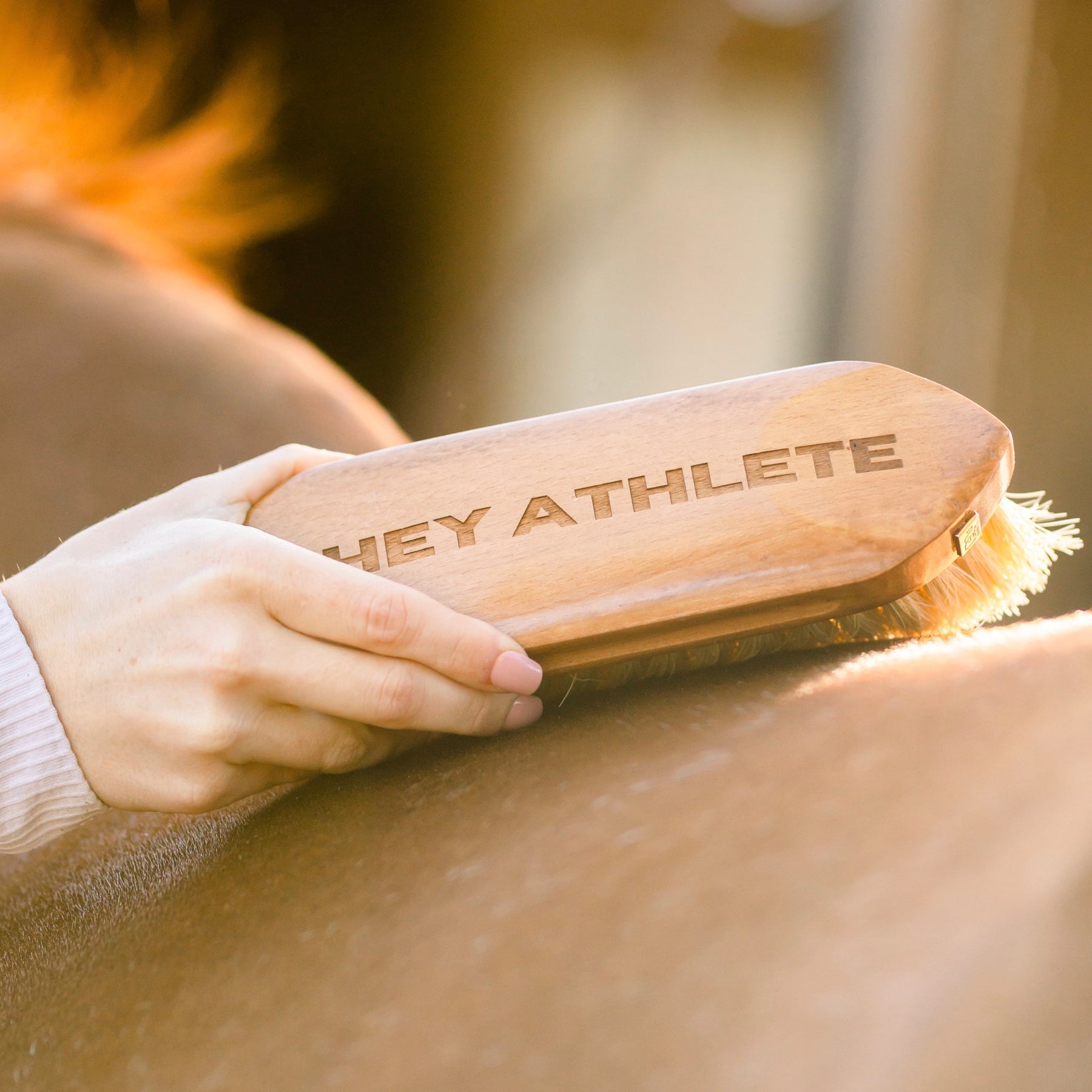 View of a female model brushing a horse with the Hey Athlete - TKEQ x SPR Natural Dandy Brush
