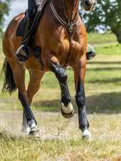 Front view of a horse wearing the LeMieux MIMsafe XC Front Boots while cantering outside