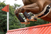 Side view of a horse wearing the LeMieux MIMsafe XC Front Boots while jumping over a jump outside