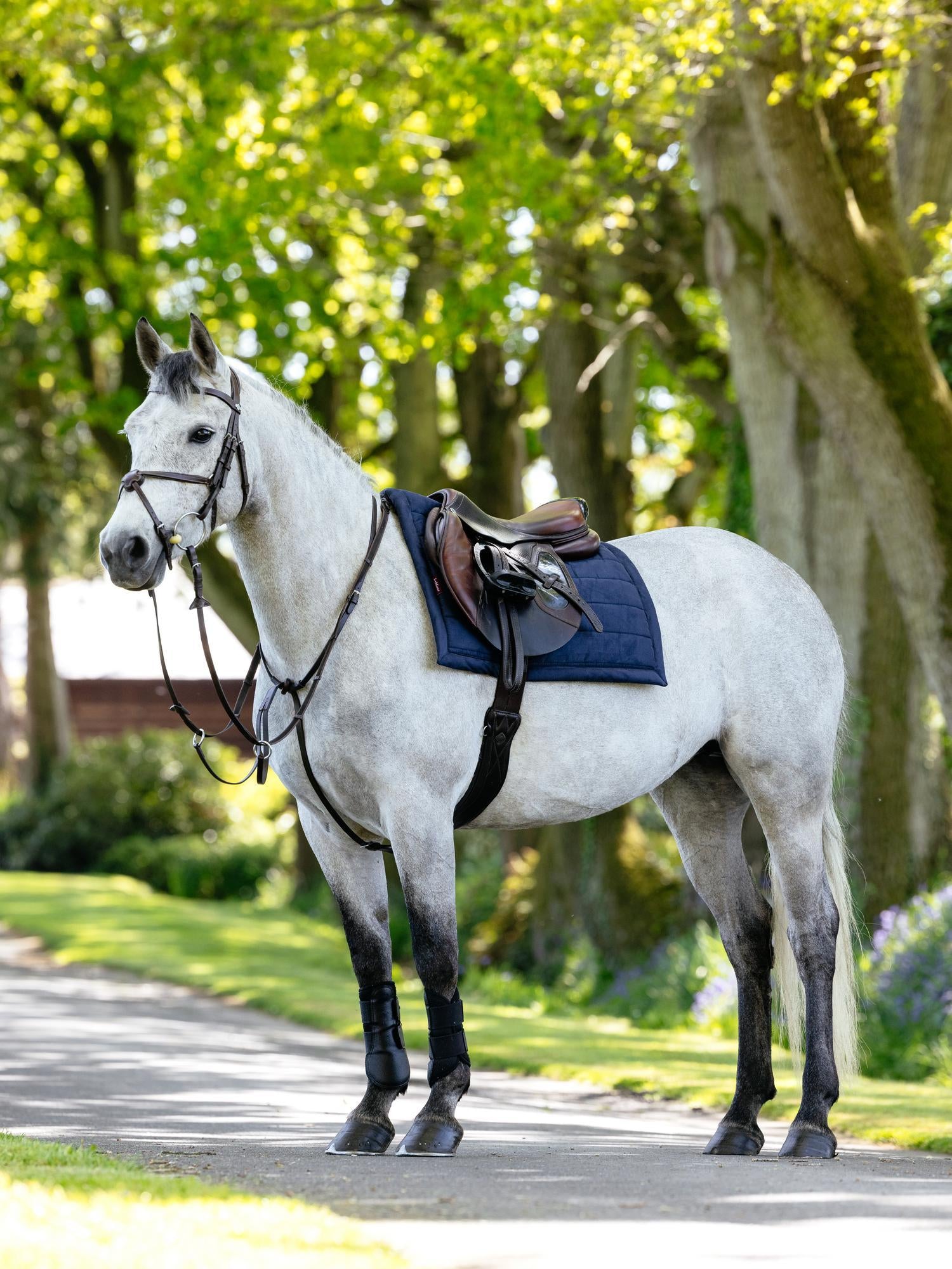 Side view of a gray horse wearing the Navy LeMieux Pillow Pad under a brown saddle while standing on a paved path outside