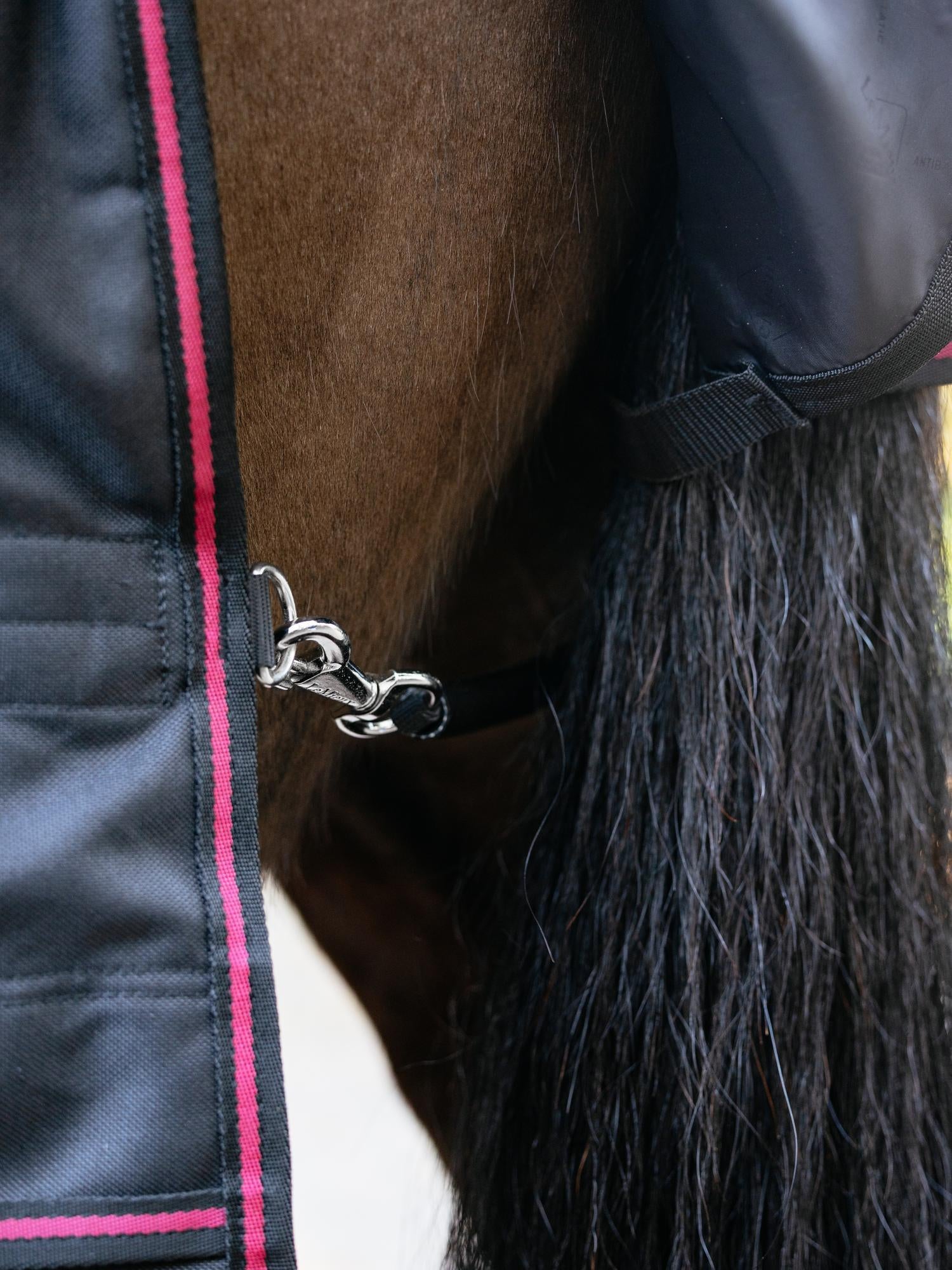 Close-up view of the leg strap on the Black LeMieux Arika Storm-Tek 350G Rug