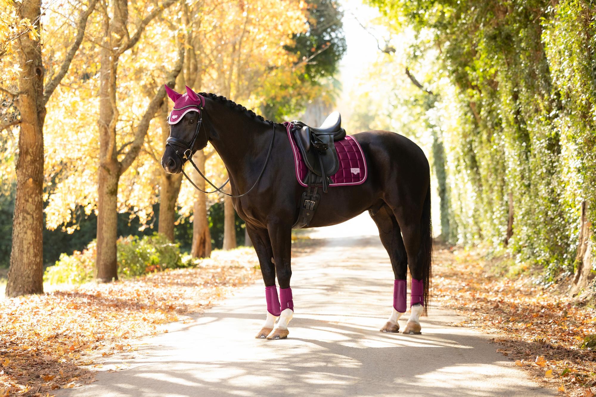 Side view of a black horse wearing the Blackberry LeMieux Loire Satin Classic Dressage Square Pad while standing outside on a pathway