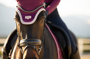 Front view of a horse wearing the Blackberry LeMieux Loire Fly Hood while being ridden outside