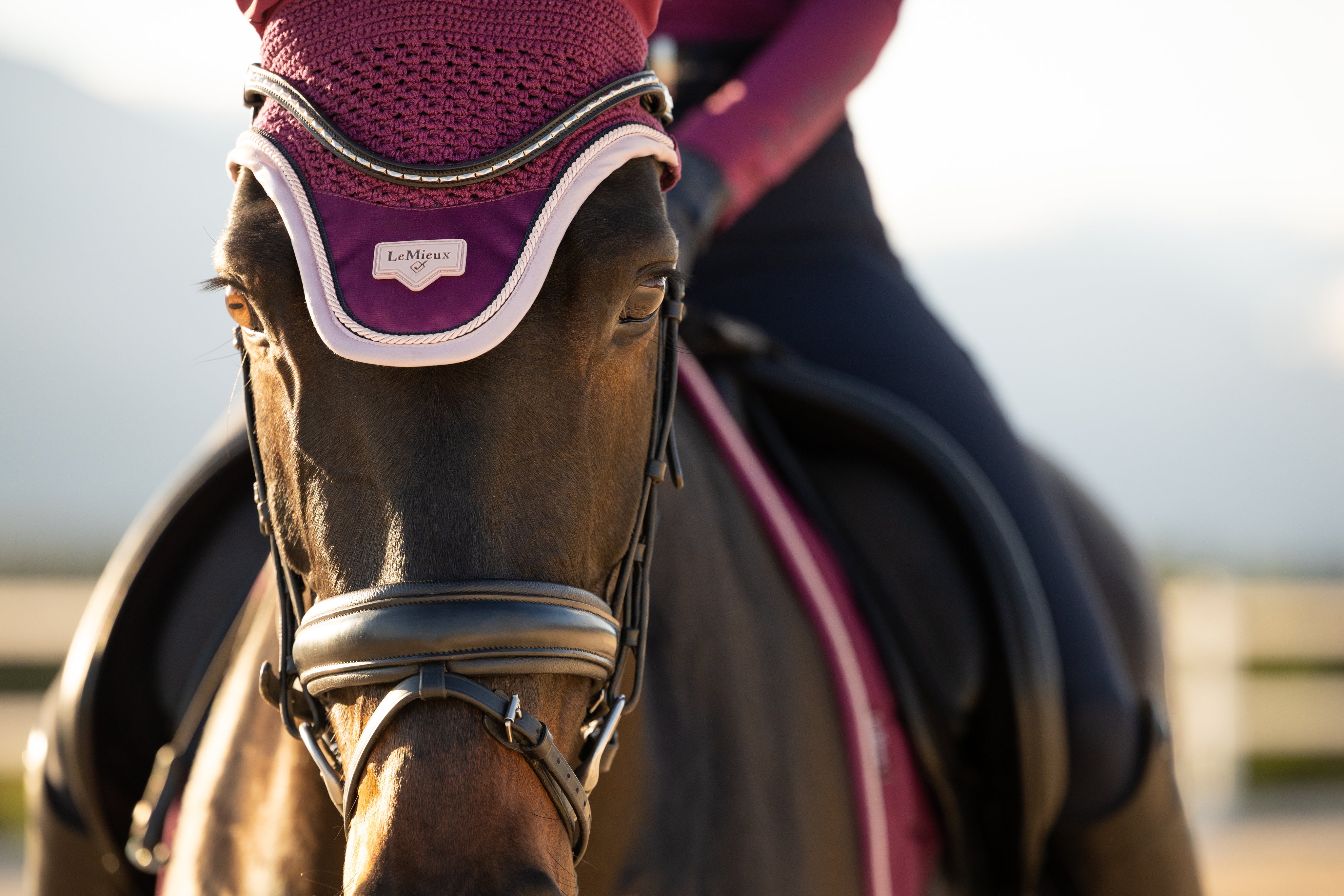 Front view of a horse wearing the Blackberry LeMieux Loire Fly Hood while being ridden outside