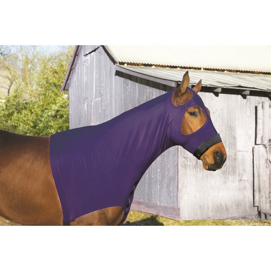 Side view of a horse wearing the Navy Perri's Lycra Mane Hood while standing in front of a barn outside