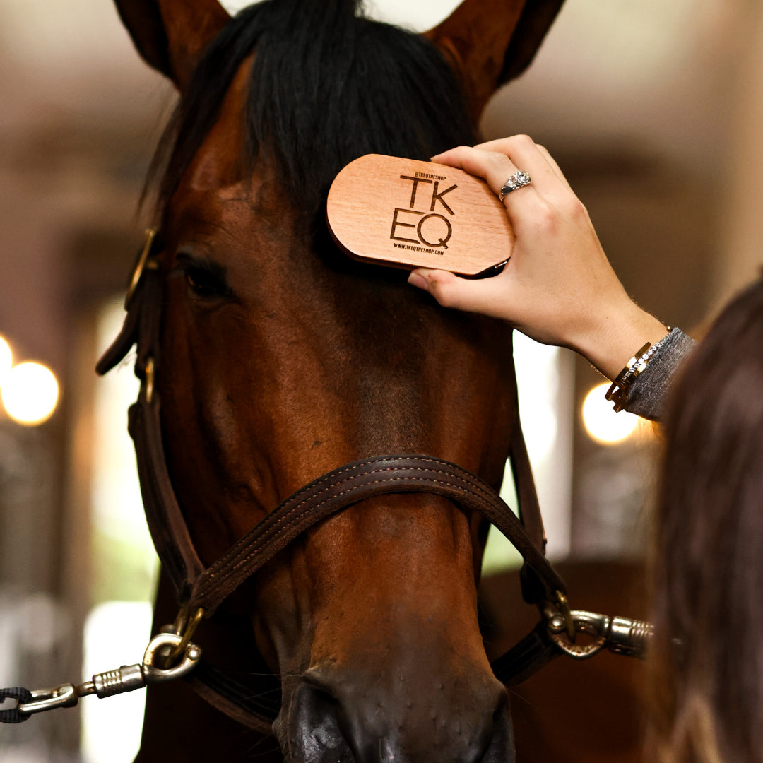 View of a femlae model brushing a horse with the TKEQ - TKEQ x SPR Natural Face Brush while standing in a barn