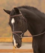 Red Barn Sovereign Bridle w/ Flash