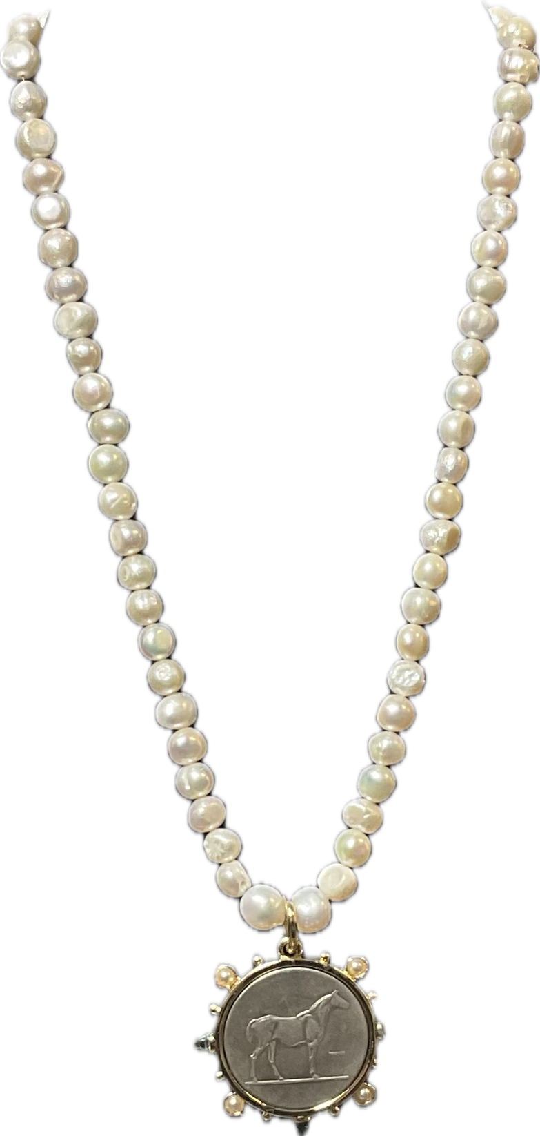 Sundance Farm Benefit Horse Medallion Necklace