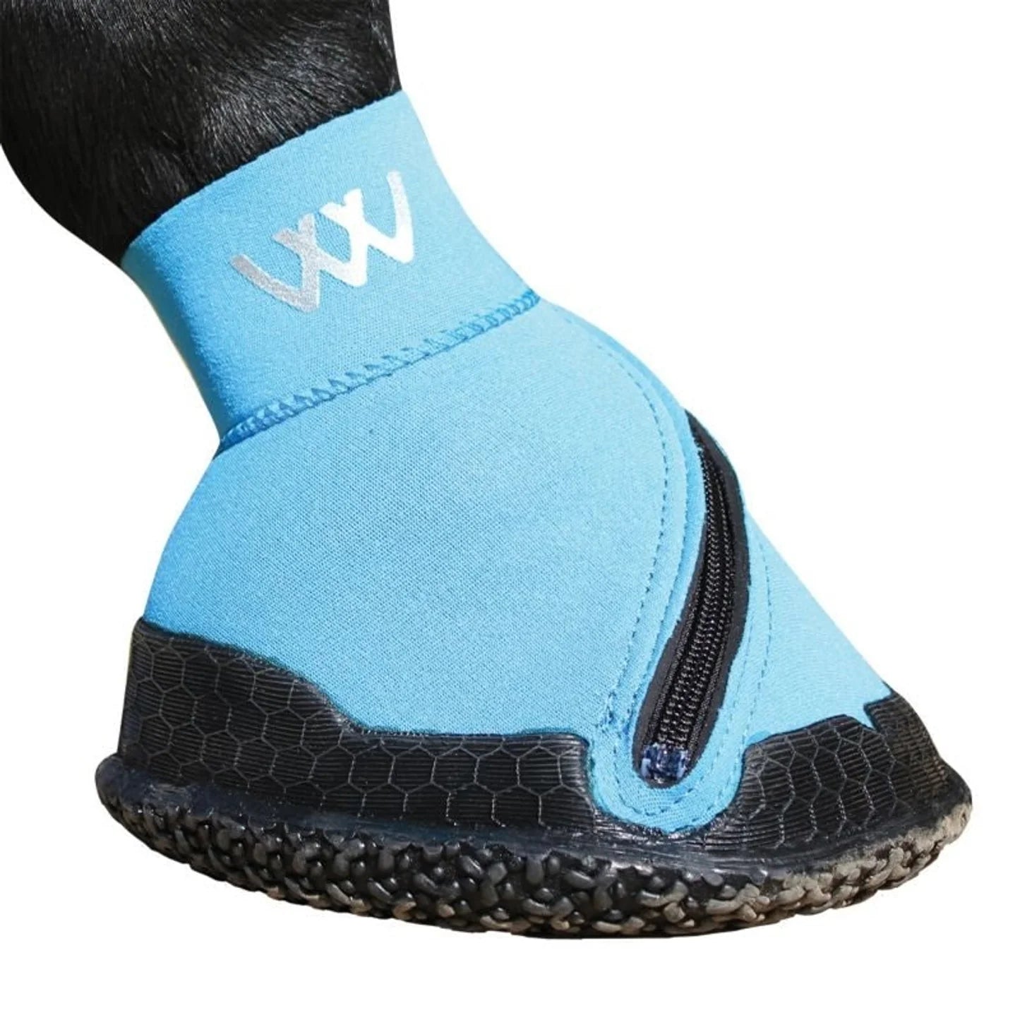 Blue protective boot with black sole on a horse's hoof against a white background