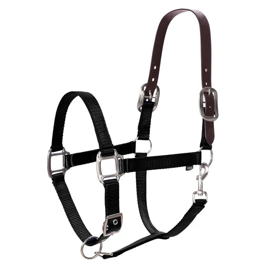 Side view of the Black Equinavia Loki Breakaway Halter on a white background