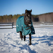 Angled front view of a horse wearing Deep Green Equinavia Arktis Extended Neck 0g Turnout on snowy ground