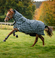 Side view of a horse wearing the Hunter Check/Green & Navy Horseware Rhino Plus Turnout 0g while galloping through a pasture