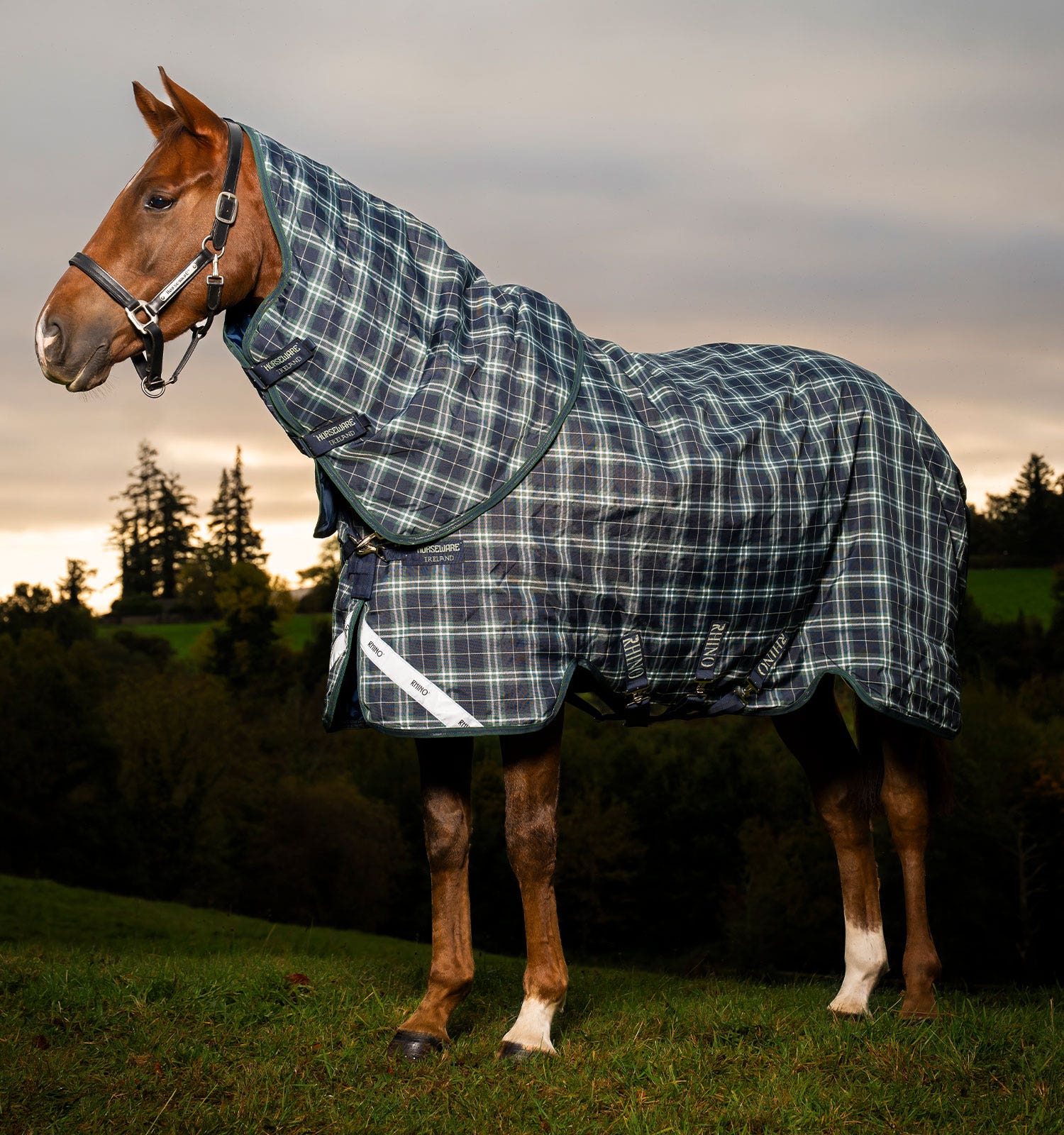 Side view of a horse wearing the Hunter Check/Green & Navy Horseware Rhino Plus Turnout 0g while standing in a pasture