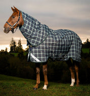 Side view of a horse wearing the Hunter Check/Green & Navy Horseware Rhino Plus Turnout 0g while standing in a pasture