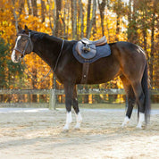 Side view of a bay horse wearing the Navy Equinavia Bergen Crystal All Purpose Pad under a brown saddle while standing outside