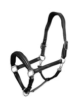 Equestrian Stockholm Glimmer Anatomic Leather Halter