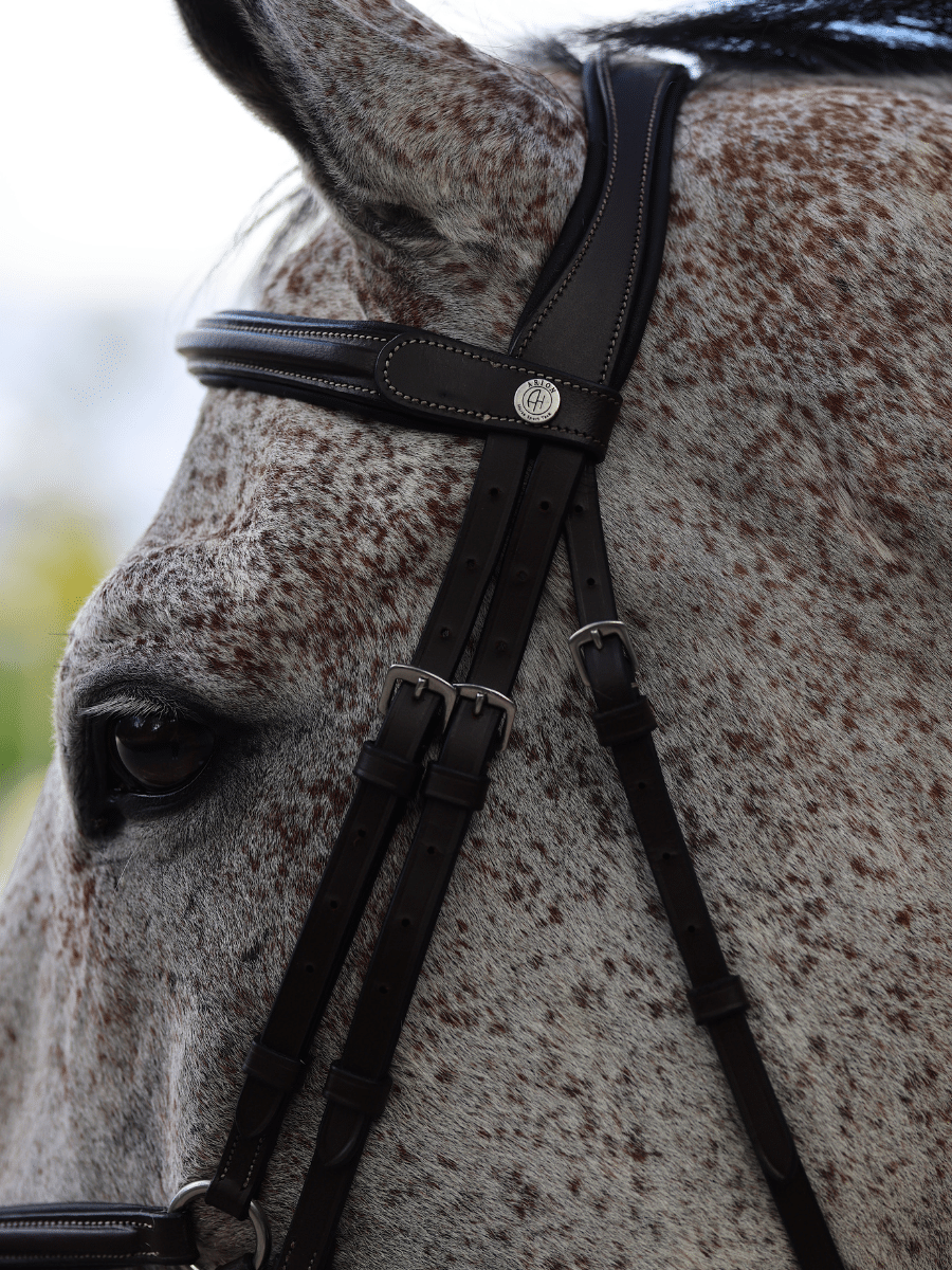 Close-up side view of a gray horse wearing the brown Arion Figure 8 Bridle