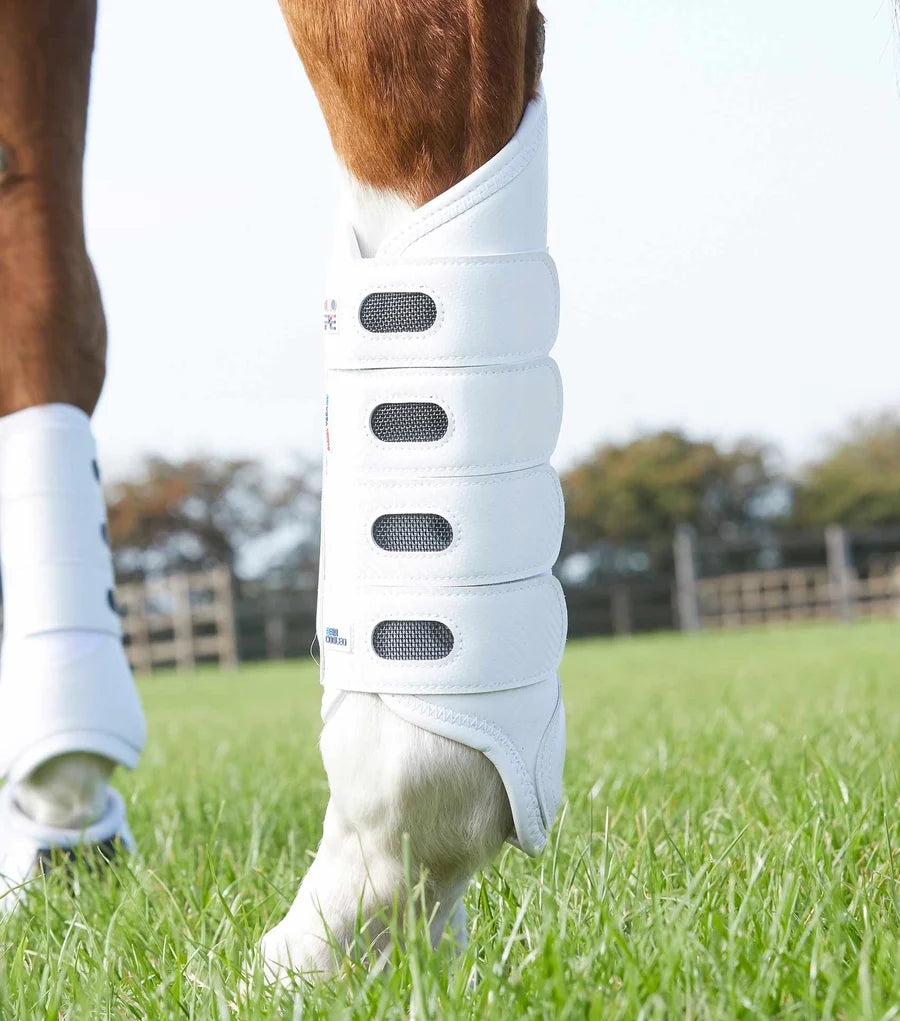Close-up view of a horse wearing the white Premier Equine Carbon Tech Air Cooled Hind Eventing Boots while standing in the grass outside