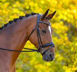 Red Barn Olympian Dressage Bridle W/ Crank