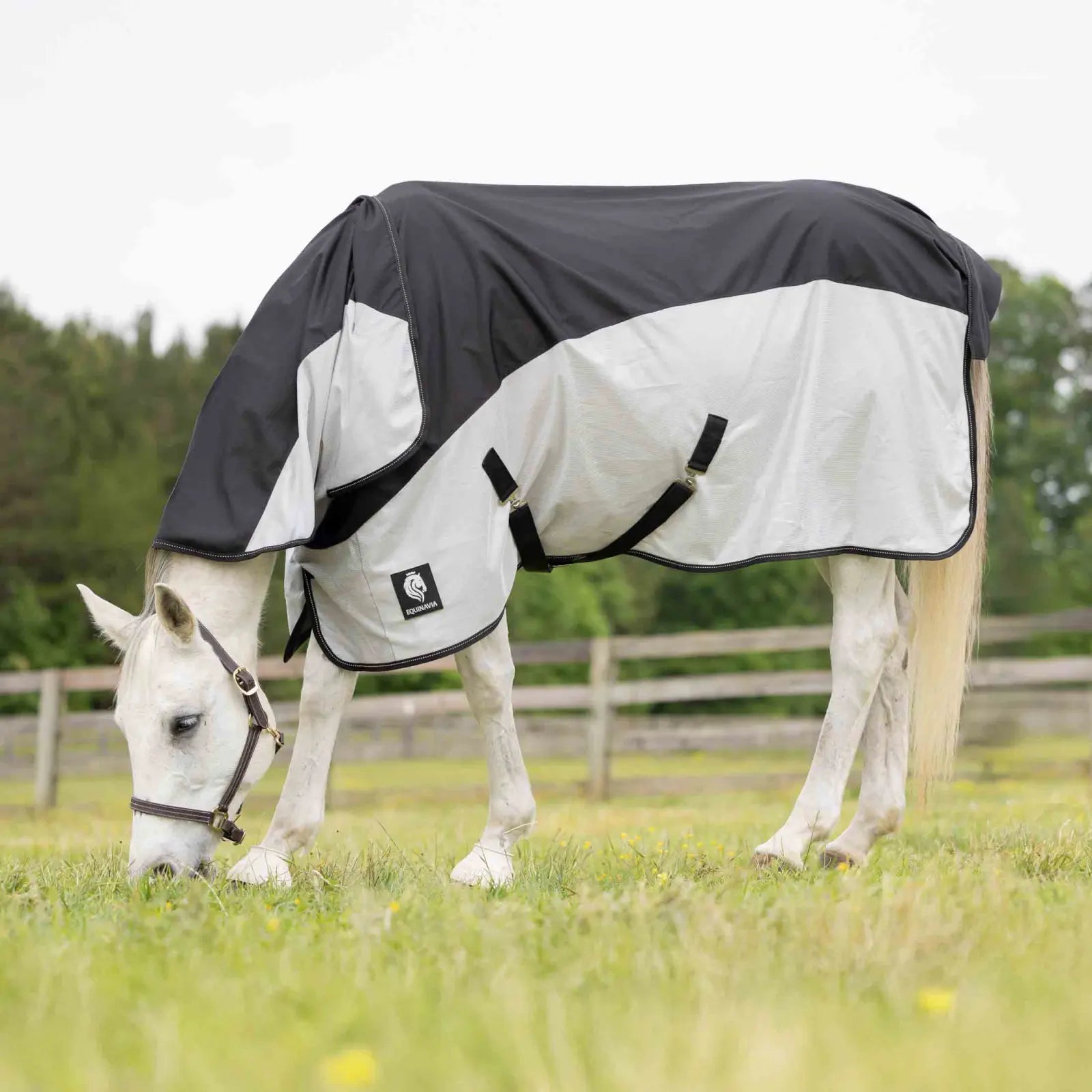 Side view of a horse wearing the black/silver gray Equinavia Norse Detachable Neck Combi Summer Sheet while grazing in a pasture