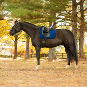 Side view of a horse wearing the Navy Equinavia Bergen Crystal Dressage Saddle Pad under a black saddle while standing outside