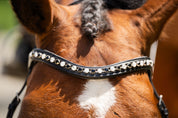 Black Oak Daphne Bridle