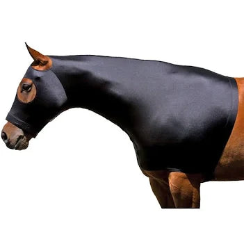 Black lycra horse hood shown on bay horse with plain white background