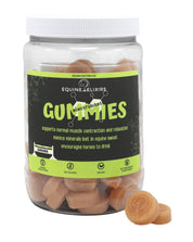 Front view of a container of Equine Elixirs Electrobites Gummies on a plain background