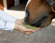 View of a model feeding a horse a handful of Equine Elixirs Pro Bono