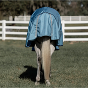Back view of a gray horse standing in a pasture wearing the Equinavia Thunder 360 0g Detachable Neck Turnout Sheet in blue