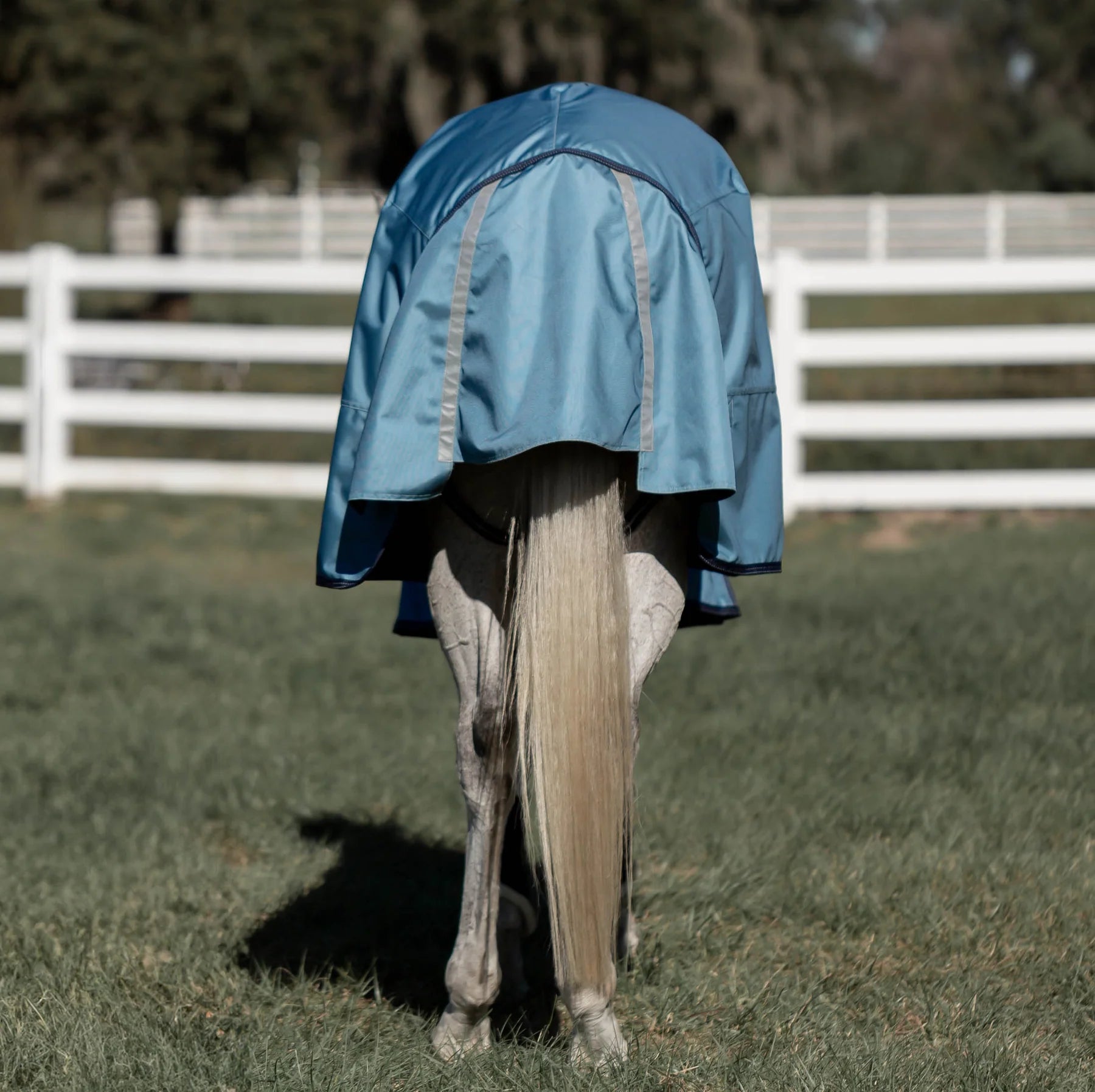 Back view of a horse wearing the Equinavia Thunder 360 200g Detachable Neck Turnout Blanket outdoors