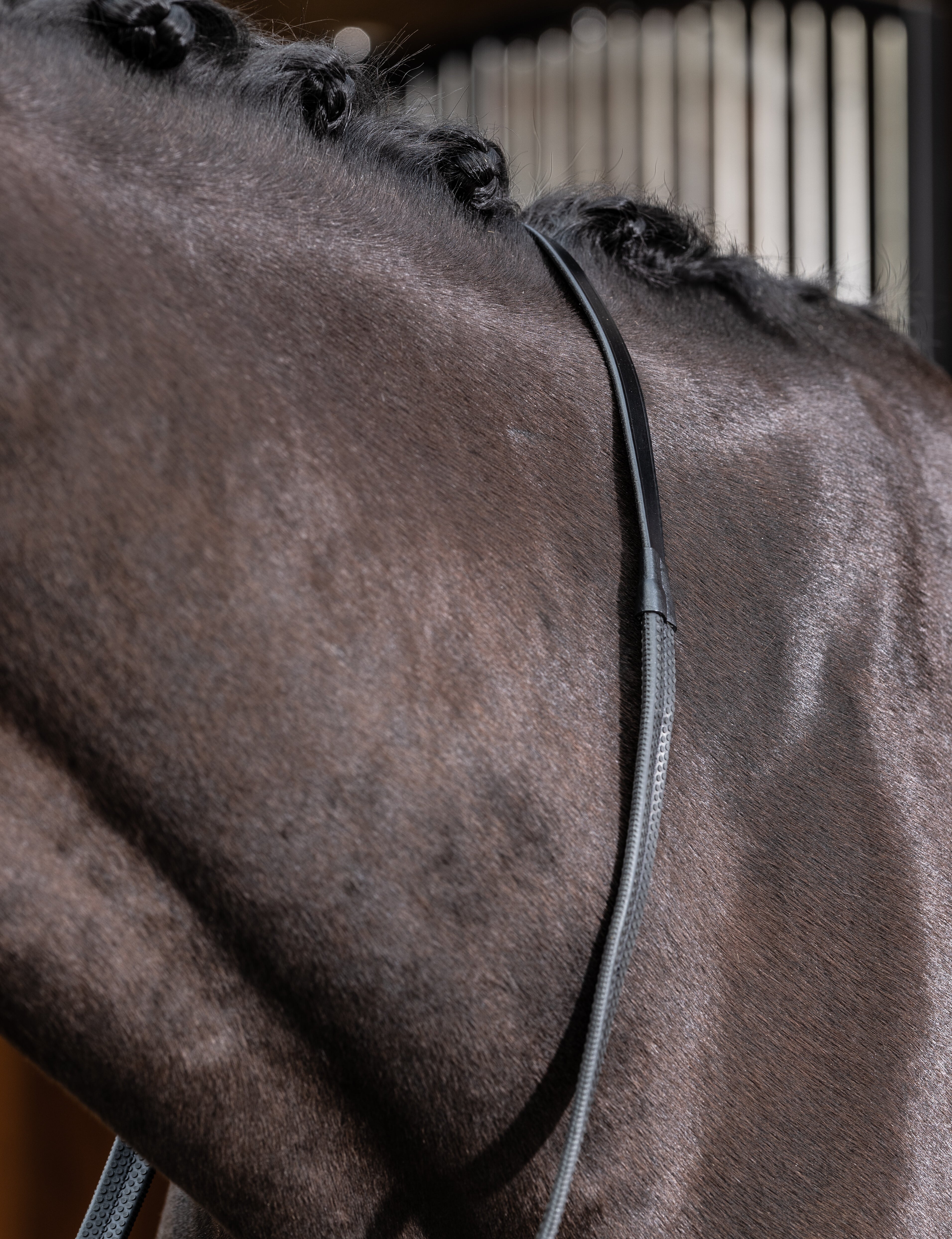 Close-up view of a dark colored horse wearing the Black LeMieux Rubber Reins over it's neck