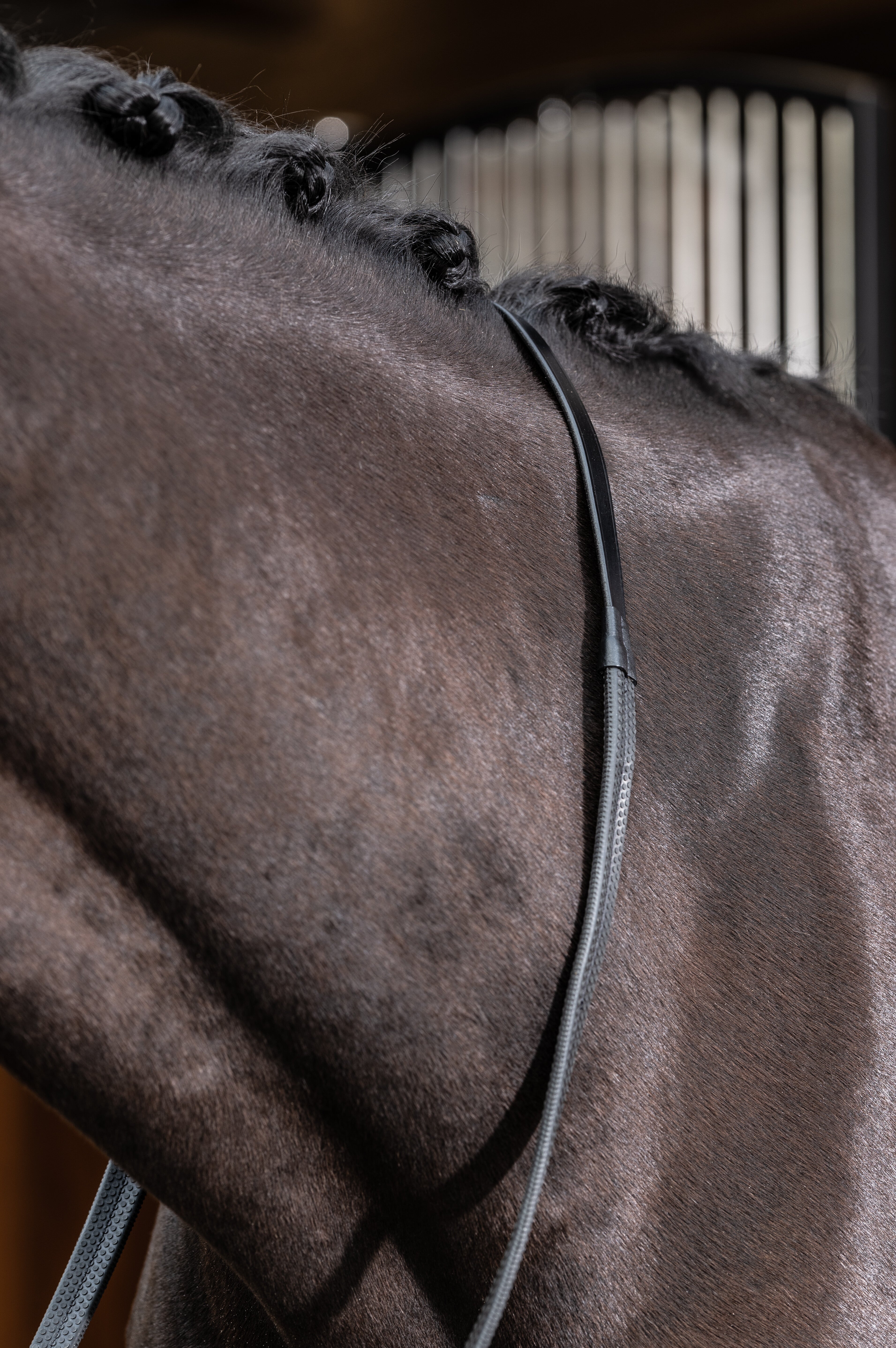 Close-up view of a dark colored horse wearing the Black LeMieux Rubber Reins over it's neck