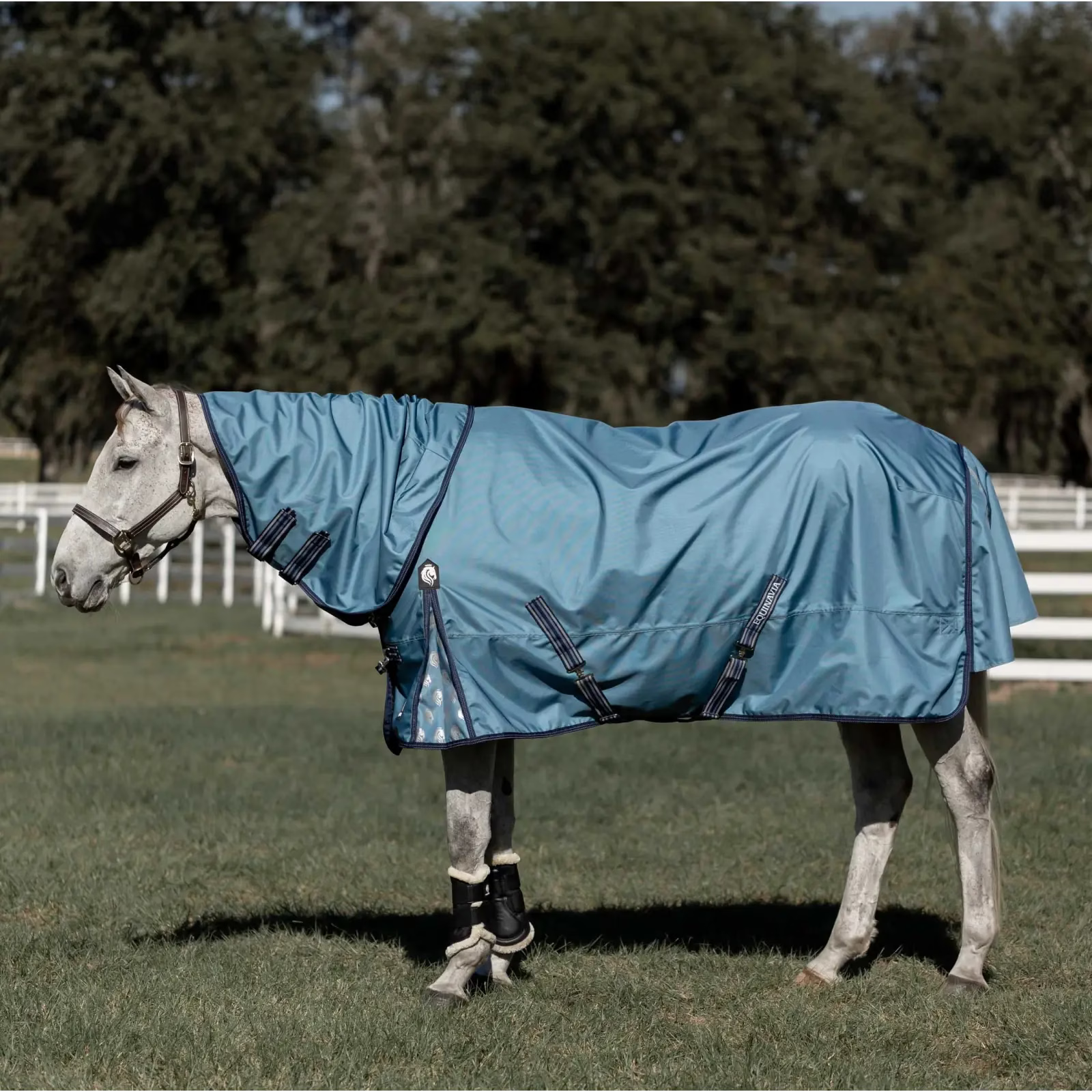 Side view of a gray horse standing in a pasture wearing the Equinavia Thunder 360 0g Detachable Neck Turnout Sheet in blue