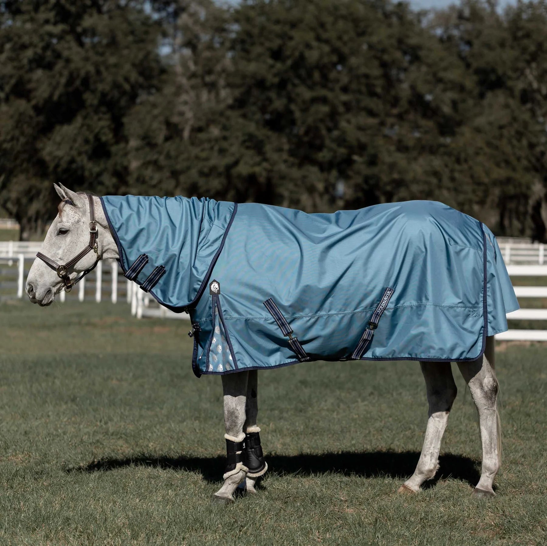 Side view of a horse wearing the Equinavia Thunder 360 200g Detachable Neck Turnout Blanket outdoors