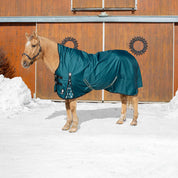 Side view of a horse wearing Deep Green Equinavia Arktis Extended Neck 0g Turnout on snowy ground in front of a barn