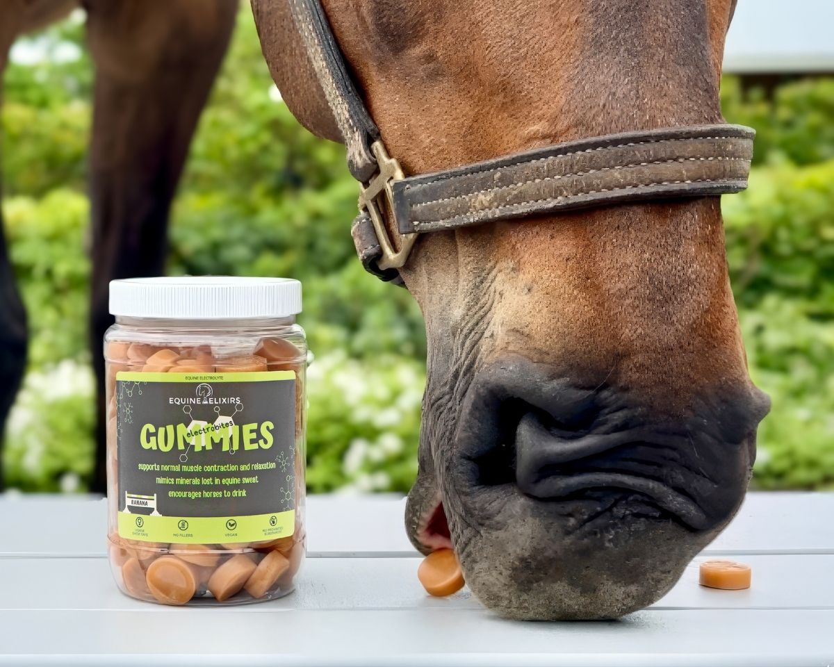 View of a Equine Elixirs Electrobites Gummies jar on a table next to a horse eating the gummies