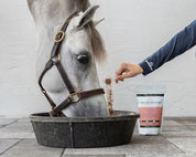 View of a model adding a scoop of Equine Elixirs Symbiotic to a feed bucket while a gray horse is eating from the bucket