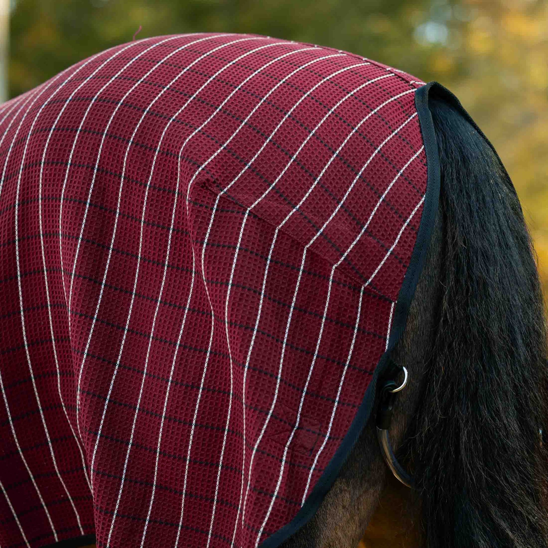 Close-up tail view of a dark colored horse wearing the Burgundy/Black Equinavia Luftig Waffle Cooler outside