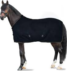 A dark horse wearing a black horse blanket with white trim, shown against a plain white background.