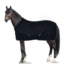 A dark horse wearing a black horse blanket with white trim and small star details, shown against a plain white background.