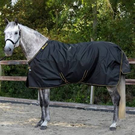 Black and gold turnout sheet shown on a grey horse