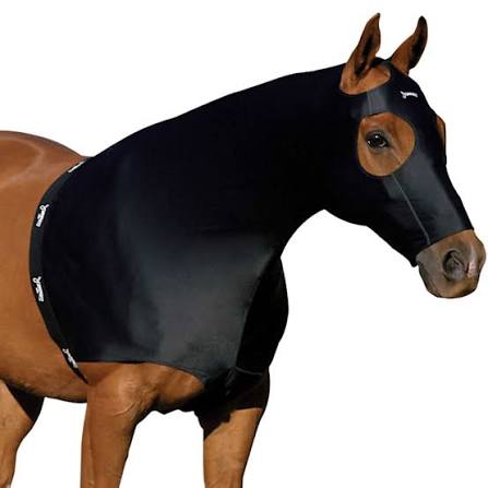 A brown horse wearing a black fly mask and neck cover against a plain white background.